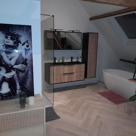 Suite City Center In Quiet Street & Airco アントウェルペン エクステリア 写真